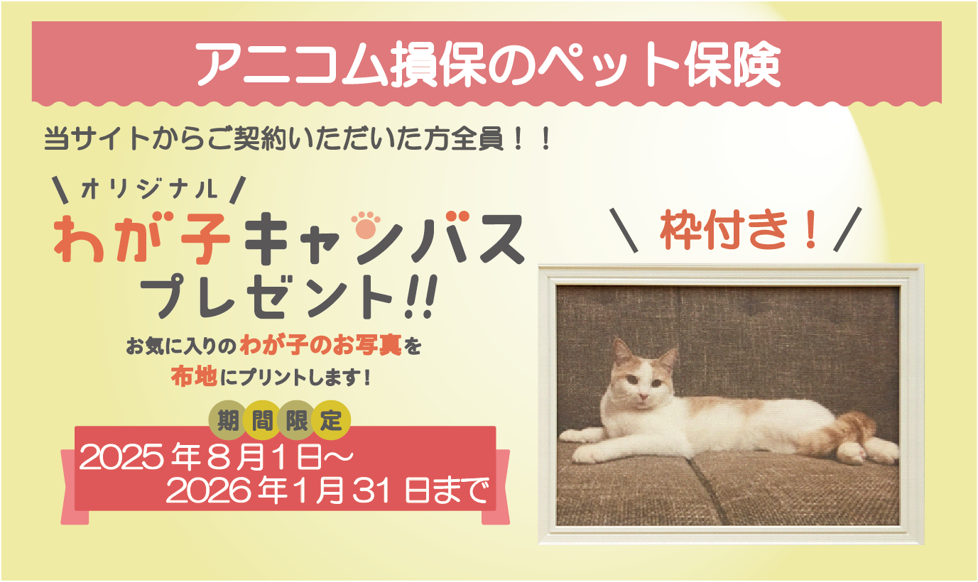 どうぶつ健保ふぁみりぃ70%プラン キャンペーン